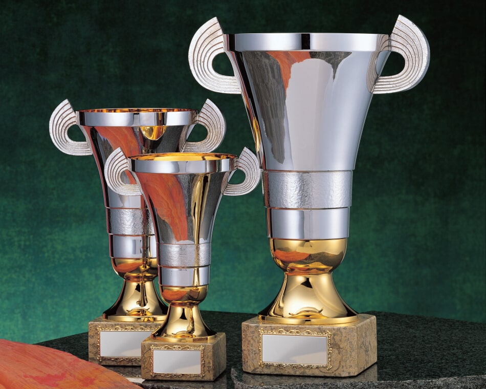 チャンピオンズカップ:EW-1000