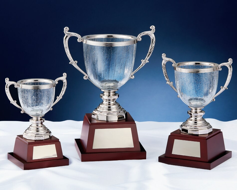 ガラスカップ:YC-4910