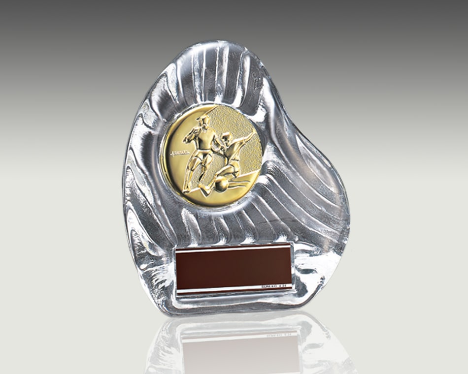 メダル選択式ガラス盾:YCZ-4956