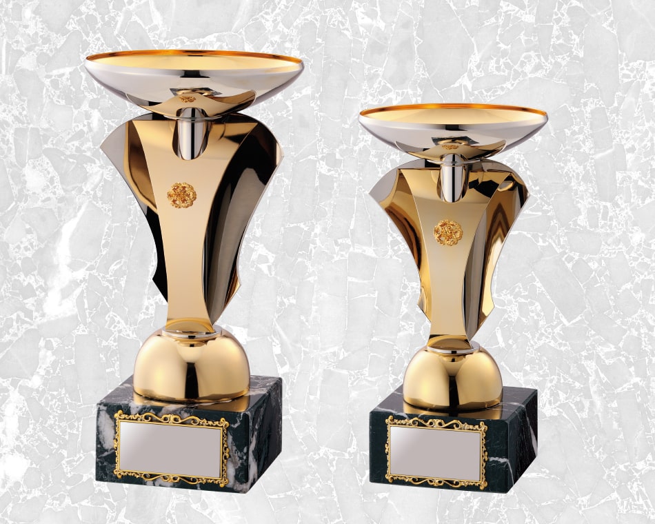 デザインカップ：EW-1003