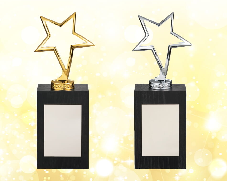 スターブロンズ：VT.3021