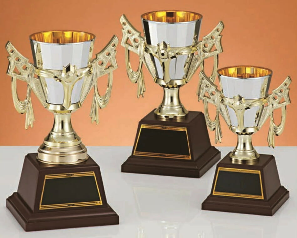 銀色樹脂カップ：C1852